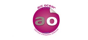 arc_ocean