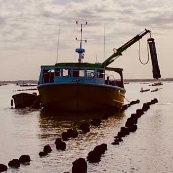 bateau qui récupère des huitres